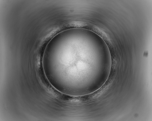 X0000099460358200805091534