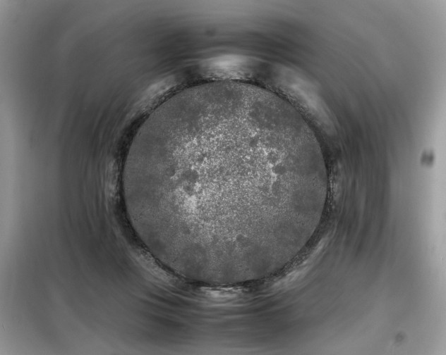 X0000099460359200805091534
