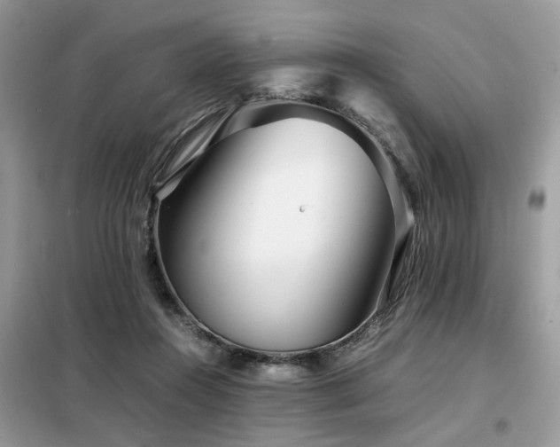 X0000099460360200805091534