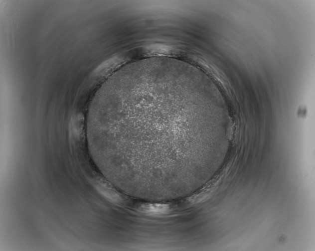X0000099460361200805091534
