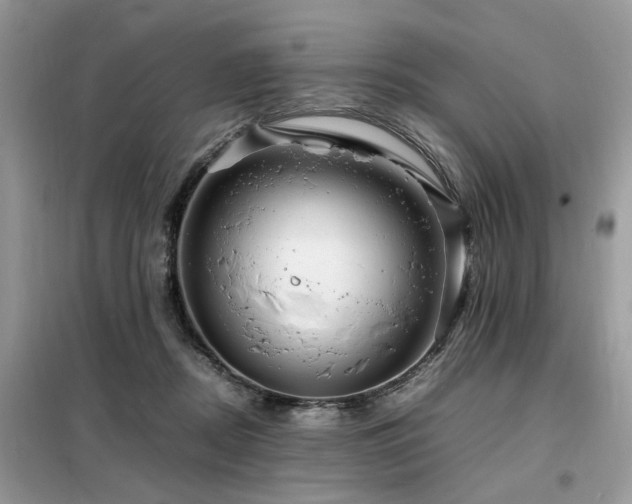 X0000099460362200805091534
