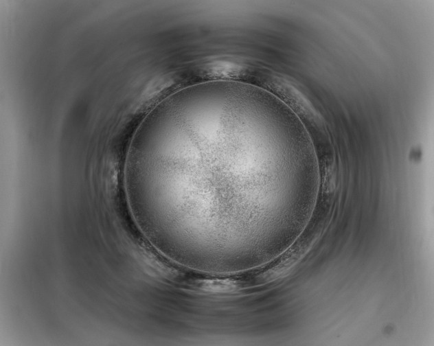 X0000099460363200805091534