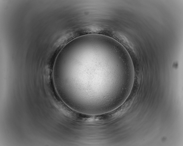X0000099460366200805091534