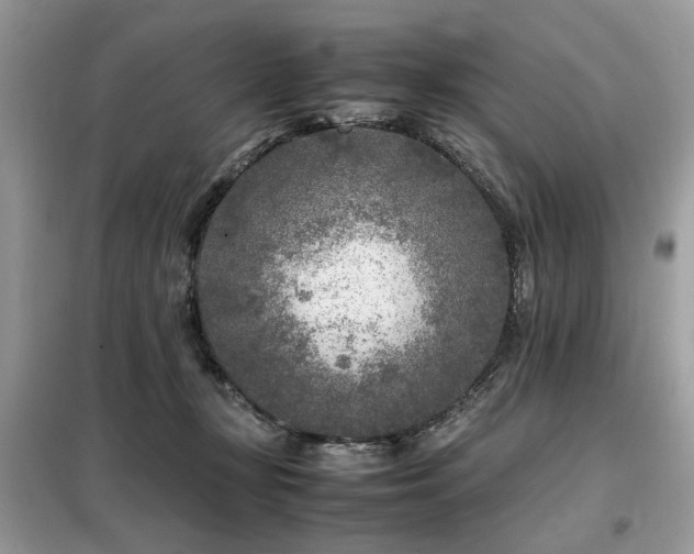 X0000099460367200805091534