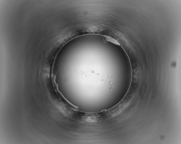 X0000099460368200805091534