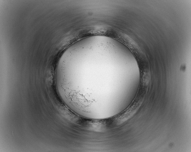 X0000099460370200805091534