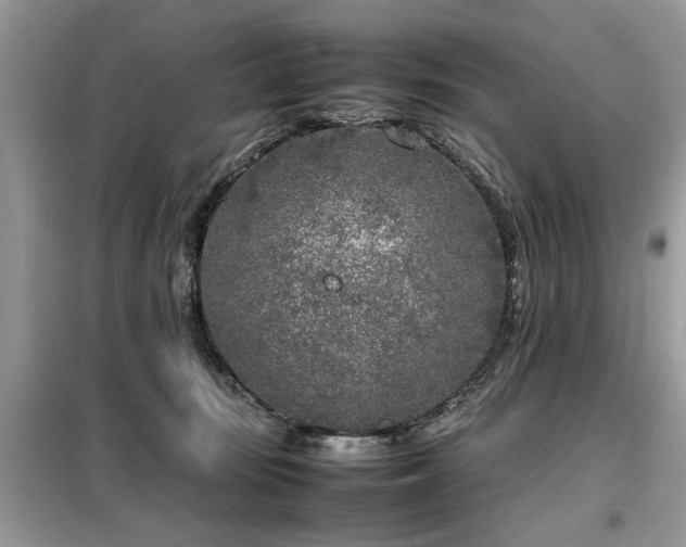 X0000099460371200805091534