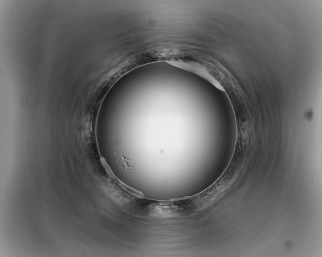 X0000099460372200805091534