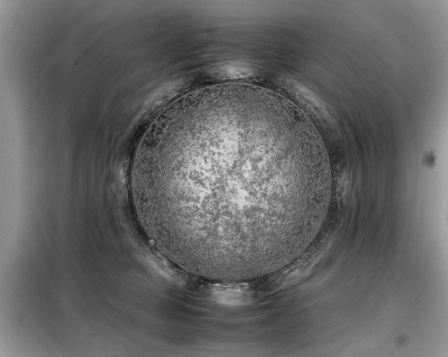 X0000099460373200805091534