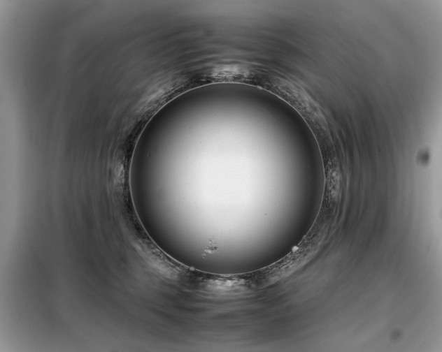 X0000099460375200805091534