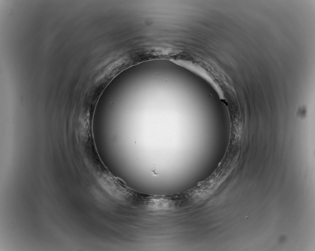 X0000099460376200805091534