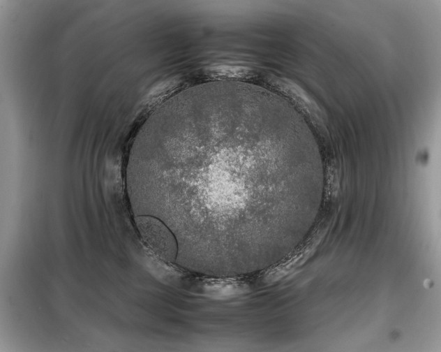 X0000099460377200805091534
