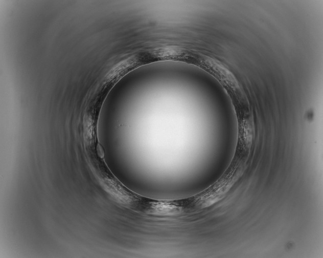X0000099460380200805091534