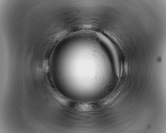 X0000099460383200805091534