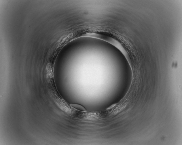 X0000099460384200805091534