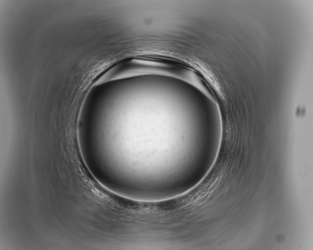 X0000099460385200805091534