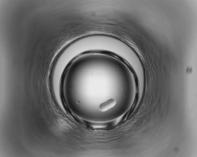 X0000099460387200805091533