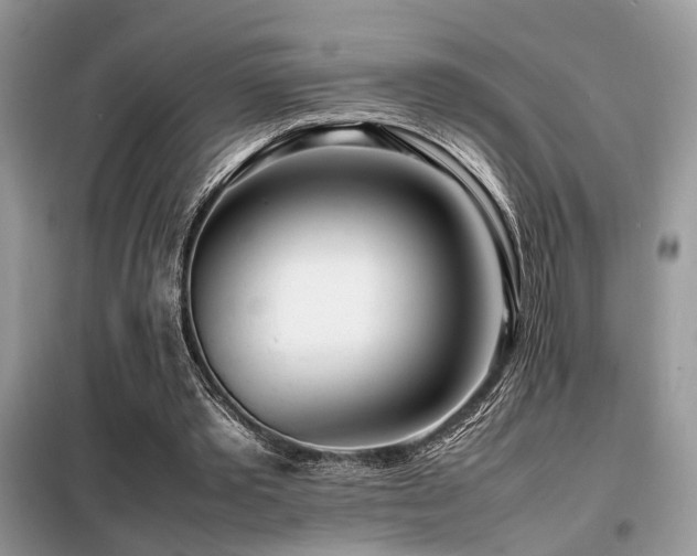 X0000099460389200805091533