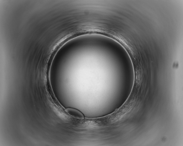 X0000099460390200805091533