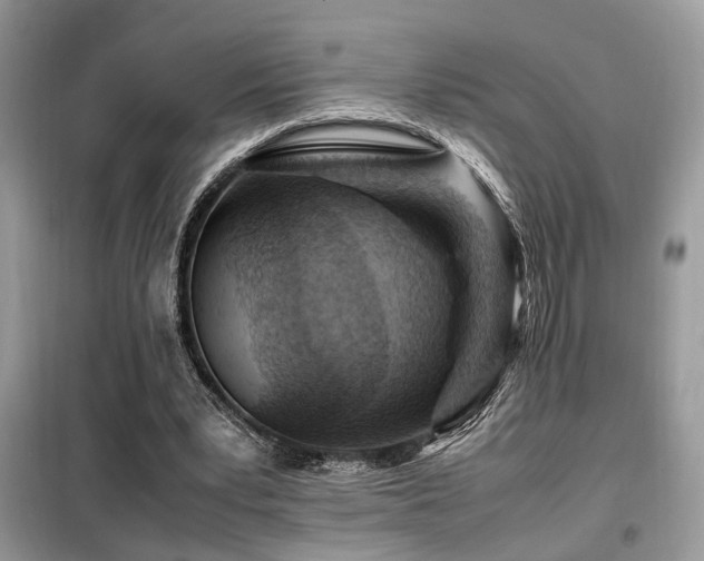 X0000099460391200805091533