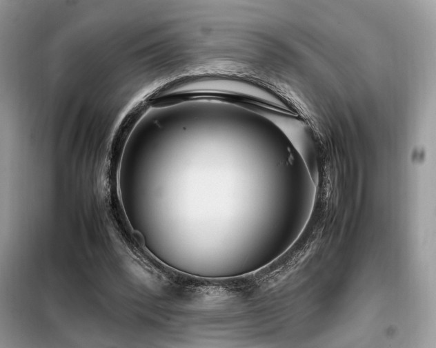 X0000099460392200805091533