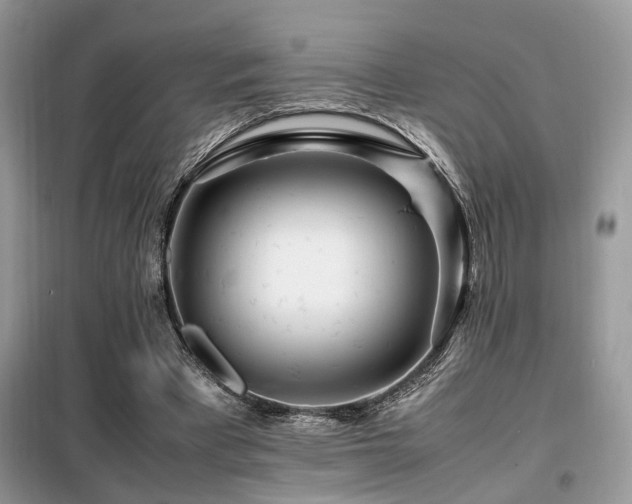 X0000099460393200805091533
