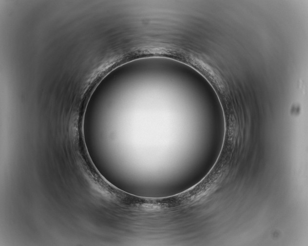 X0000099460394200805091533