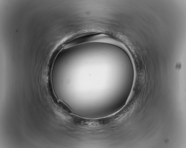 X0000099460395200805091533