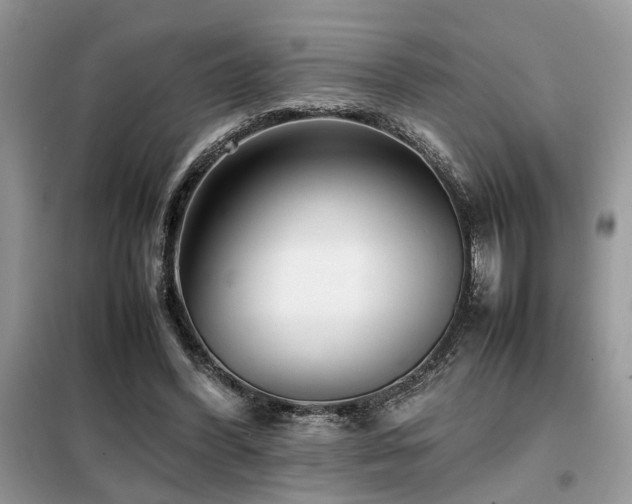 X0000099460396200805091533