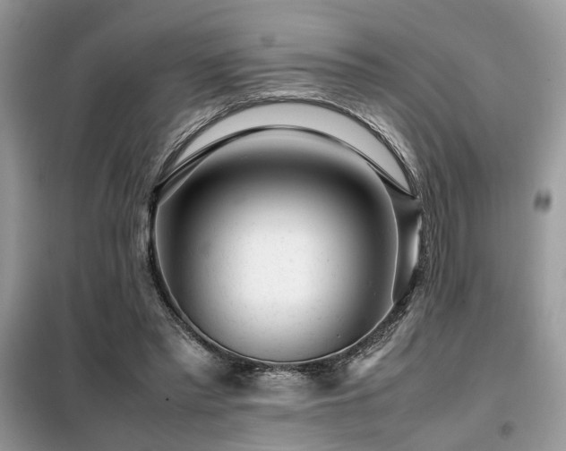 X0000099460397200805091533