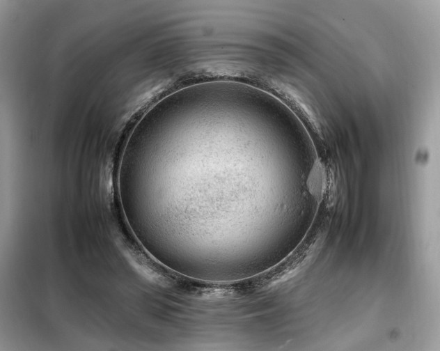 X0000099460398200805091533