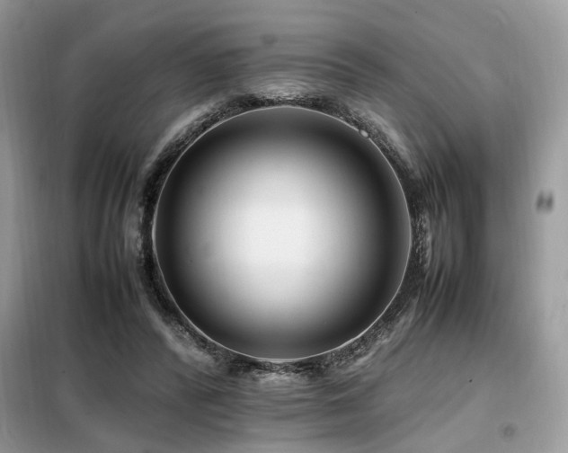 X0000099460400200805091533