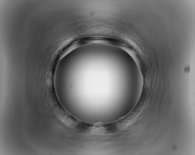 X0000099460403200805091533
