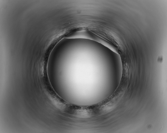 X0000099460404200805091533