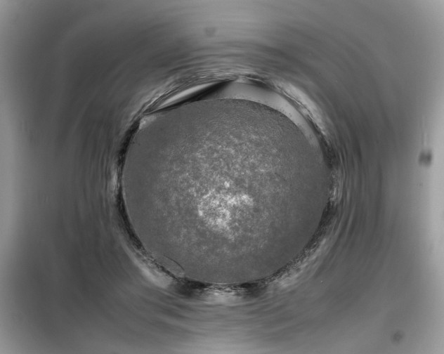 X0000099460405200805091533