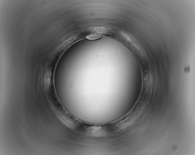 X0000099460406200805091533