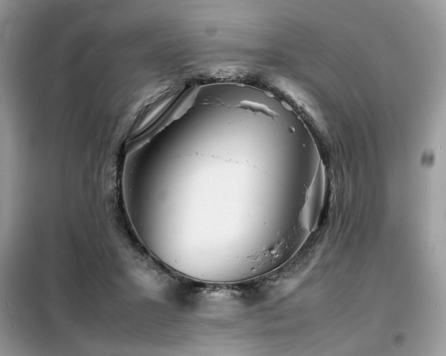 X0000099460407200805091533