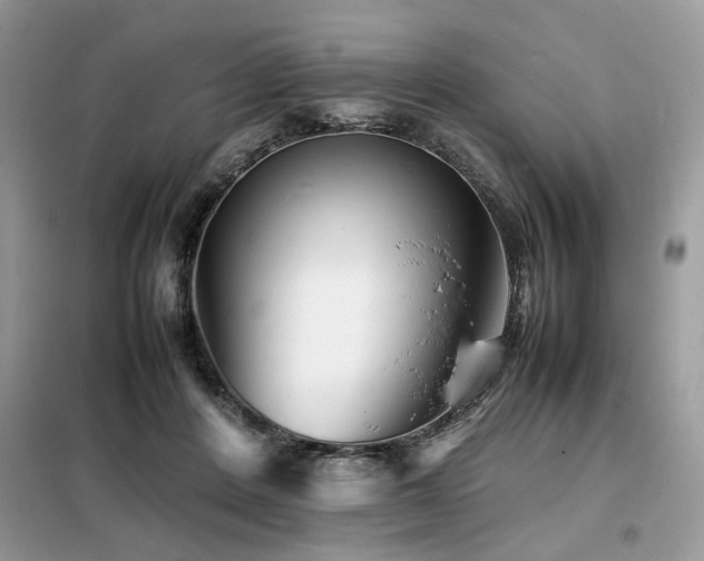 X0000099460408200805091533