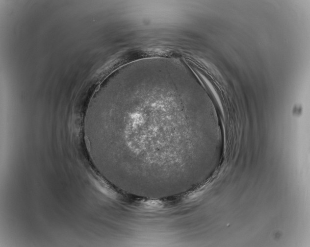 X0000099460409200805091533