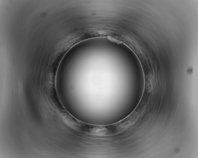 X0000099460410200805091533