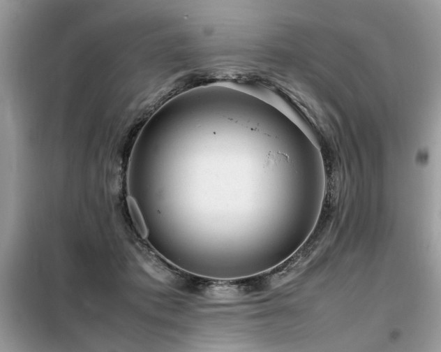 X0000099460413200805091533