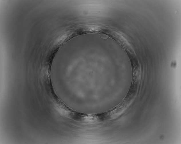 X0000099460415200805091533