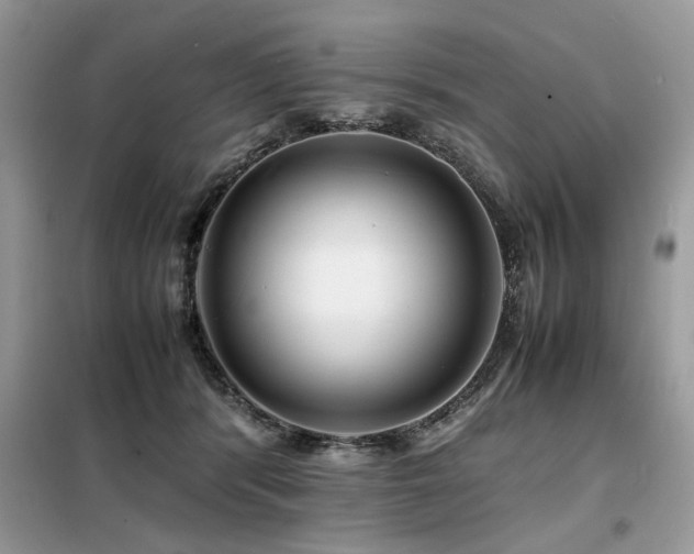 X0000099460416200805091533
