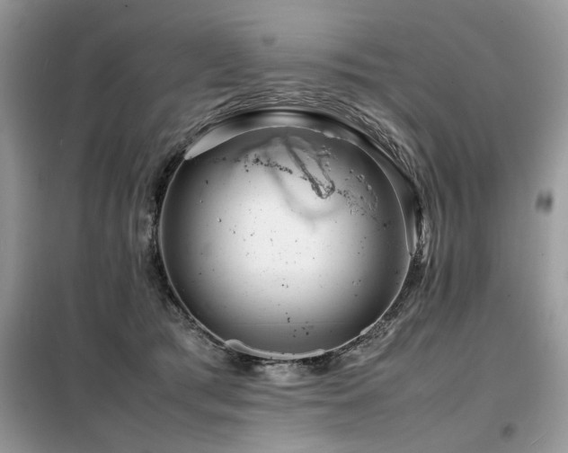 X0000099460417200805091533