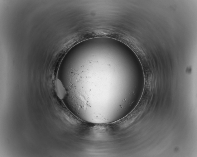 X0000099460418200805091533