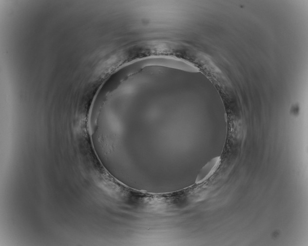 X0000099460419200805091533