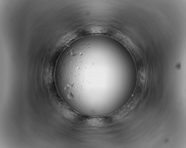 X0000099460422200805091533