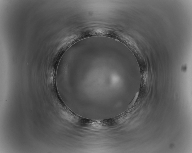 X0000099460423200805091533