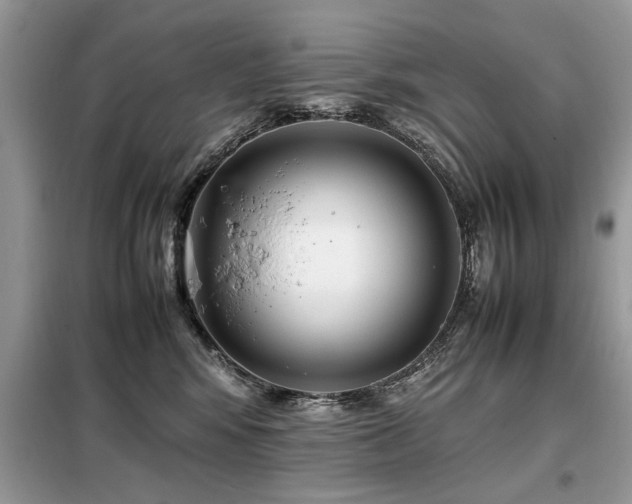 X0000099460424200805091533