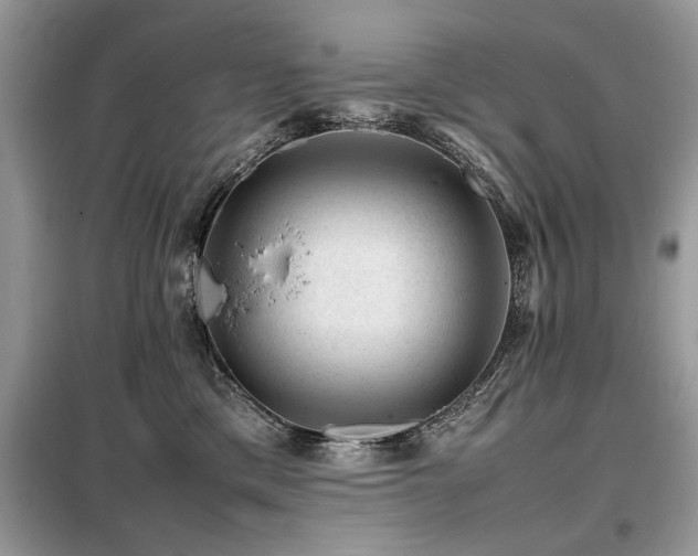X0000099460425200805091533